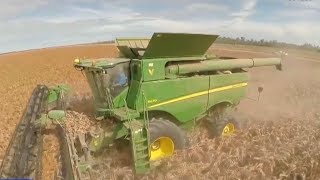 Trade tensions: US sorghum farmers fear possible Chinese tariffs
