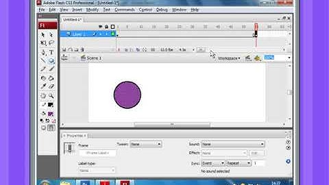 Shape Tween | Class 7 Chapter 4
