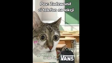 Thumbnail of Mieliście tak kiedyś? 😂 #cats #śmieszne#greenscreen #cat #trend#memes#funny#memy #catmeme