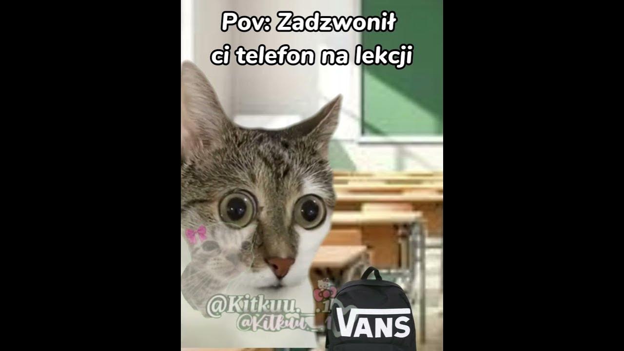 Mieliście tak kiedyś? 😂 #cats #śmieszne#greenscreen #cat #trend#memes#funny#memy #catmeme Mieliście tak kiedyś? 😂 #cats #śmieszne#greenscreen #cat #trend#memes#funny#memy #catmeme
