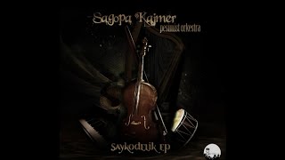 Sagopa Kajmer & Pesimist Orkestra - Kargaların Kargaşası