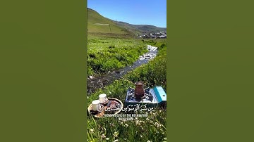 سورة الناس الشيخ سعد الغامدي #اكسبلور #المصحف #quran #تيك_توك #duet #nature #الطبيعة