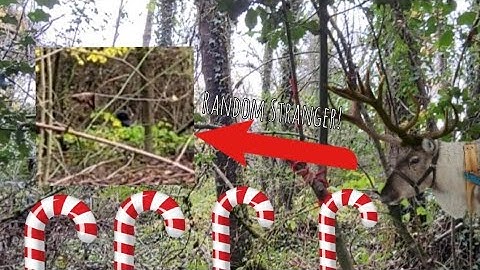 Bringing Christmas Spirit to Random Park! random stranger encounter!! 😱 vlog