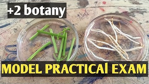 +2 botany | model practical exam  | sameerapp