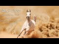 عدوان ضبطا عدوان ضبطا