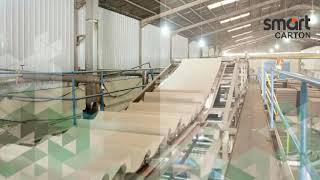 Smart Carton Corrugated Packaging Industry Promotional Shelves