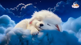 Soft And Relaxing Piano Melodies, Sleep Music For Sweet Dreams And Good Night screenshot 4