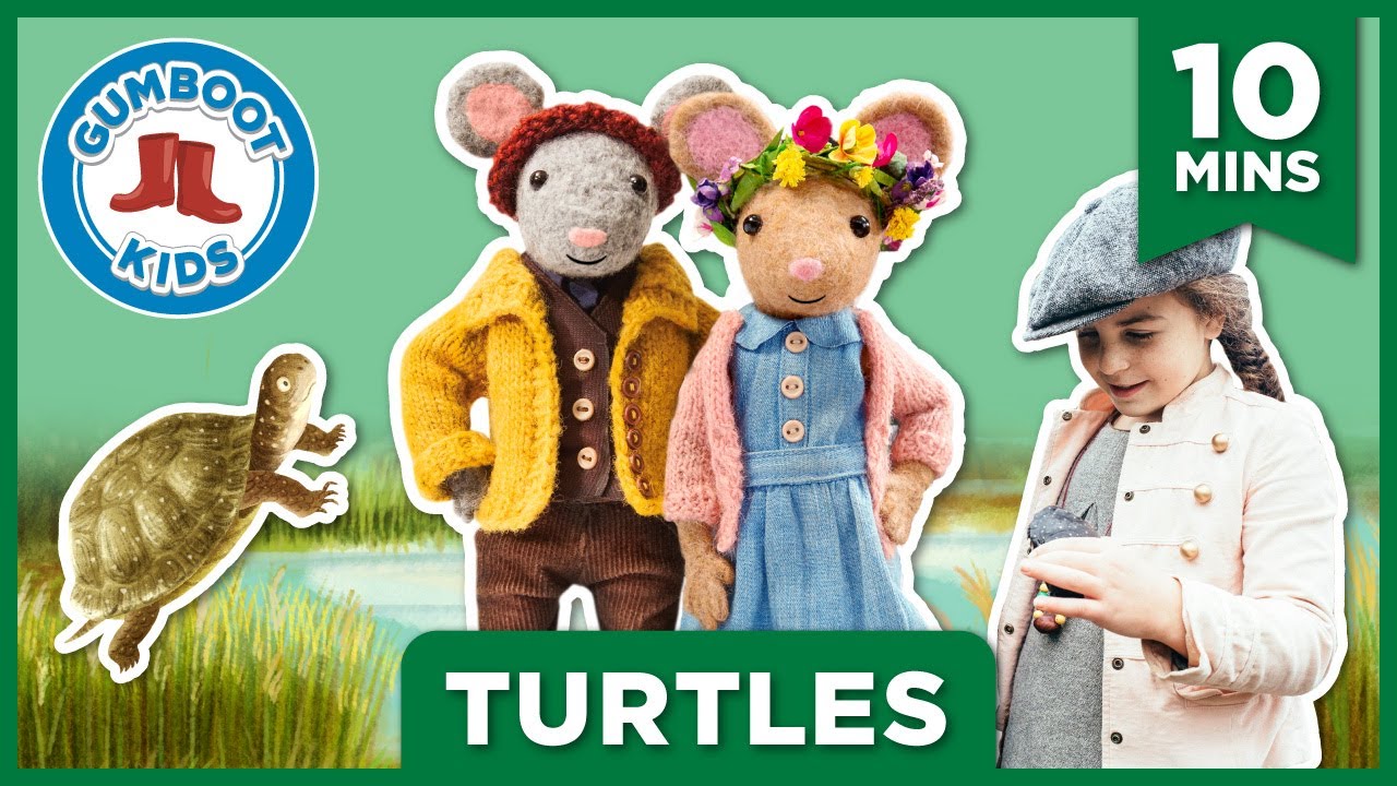 Turtles 🐢 Gumboot Kids l Learn About Turtles In A Nature Mystery l Get Creative With A DIY Craft