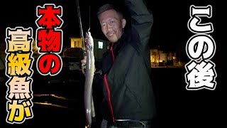 誰もが知ってる高級寿司ネタが堤防で釣れた！？