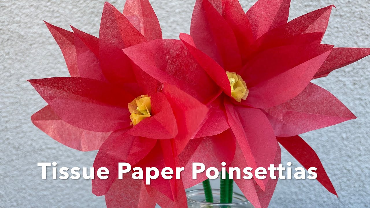 Tissue Paper Flower Poinsettias 