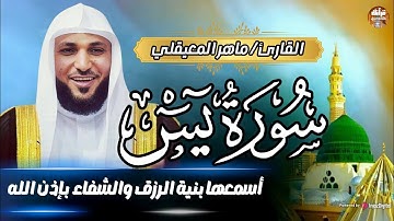 Surat Yasin Maher Al Muaiqly سورة يس الشيخ ماهر المعيقلي