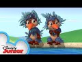 Bird Bath and Beyond | Chip 'N Dale's Nutty Tales | Disney Junior