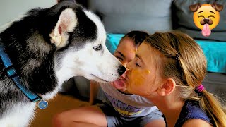 Watch Husky Kissing For Your Daily Dose Of Cute 😍