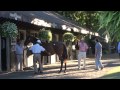 Saratoga Sale