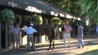 Saratoga Sale Net Worth