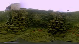 underwater cool 360 video