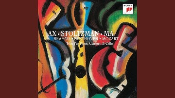 Clarinet Trio in A Minor, Op. 114: IV. Allegro