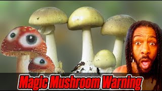 Magic Mushrooms Are Hurting People