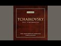 Miniature de la vidéo de la chanson Symphony No. 2 In C Minor, Op. 17 “Little Russian”: Iv. Finale. Moderato Assai - Allegro Vivo