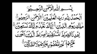 1- سورة الفاتحة - بصوت القارئ/ محمد عبد الكريم - رواية حفص عن عاصم