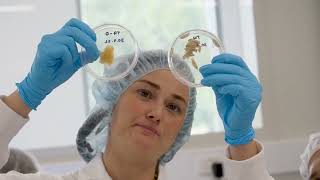 Dr Amy Cain | 2022 Young Tall Poppy Science Award Winner