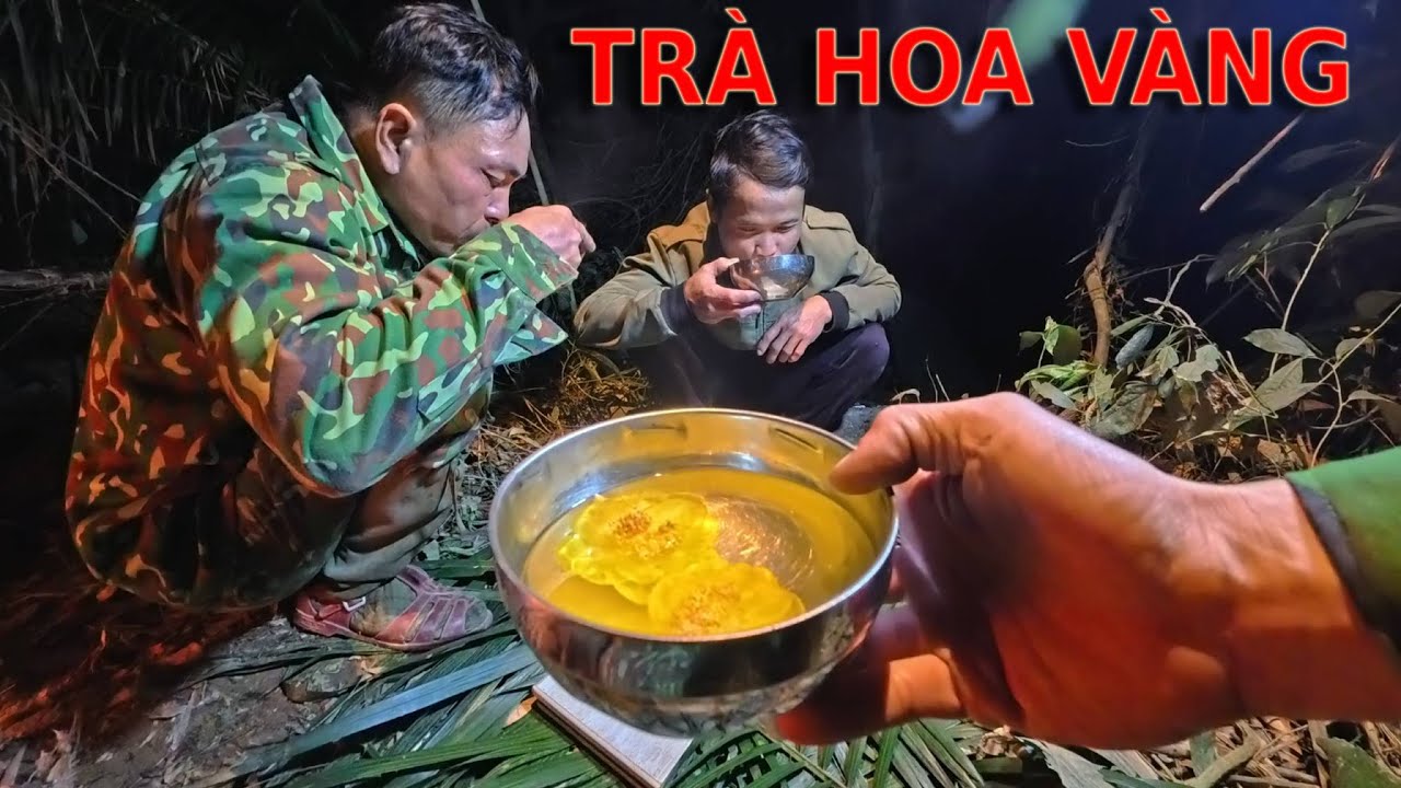 THƯỞNG THỨC TRÀ HOA VÀNG GIỮA ĐÊM .CHUYẾN ĐI SÔNG KÉM MAY MẮN.Camera Thợ Rừng