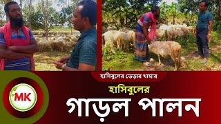 পর্ব ২ । হাসিবুলের গাড়ল পালন পদ্ধতি । garol khamar Bangladesh l sheep farming