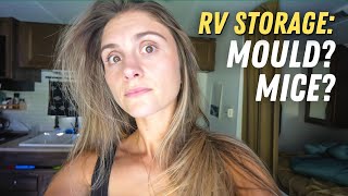 The AFTERMATH of storing our RV in Florida humidity