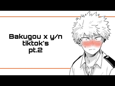 Bakugou x y/n tiktok’s