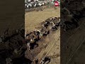 Минстрой: отдельного согласования проекта «Алтай» с сейсмологами не требуется