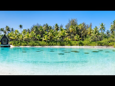 Morning Glow Energy Uplifting Beach Bossa Nova With Ocean Waves Sounds For Positive Mood