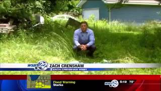 Famous BEAR SIGHTING: Wandering black bear travels to Michigan City Profile