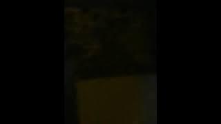 #Metode manjakan walet.RBW pinrang sulsel