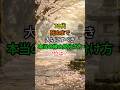 🍃70代、 死ぬまで大切にすべき「本当の縁」の見分け方 TOP3 ✨