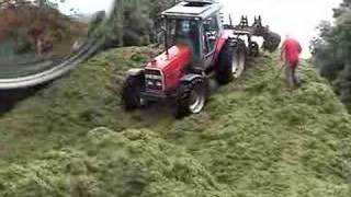 Silage part 2