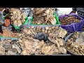 RAJANYA BAKSO JEROAN YANG GEGERKAN JAGAT MAYA !! JEROAN HARGA MURAH PORSI BRUTAL - BAKSO MAS BRO