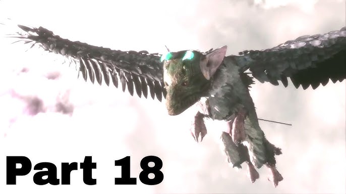 Part 9 - The Nest and the Cage - The Last Guardian Guide - IGN
