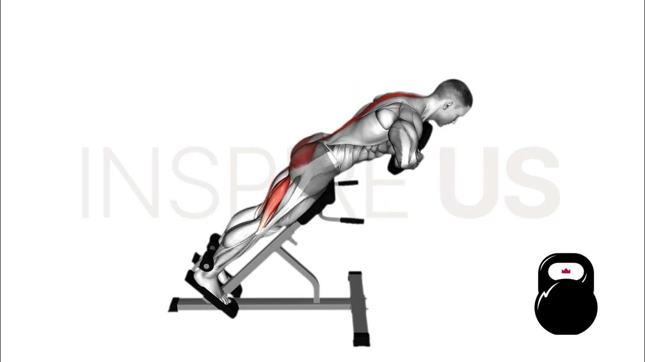 Back Extension YouTube
