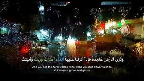 الشيخ محمد الطراف وترى الارض هامدة تلاوة رائعة