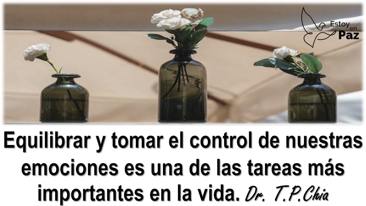 ¿Existen las Emociones Negativas? (parte 5 de 7)