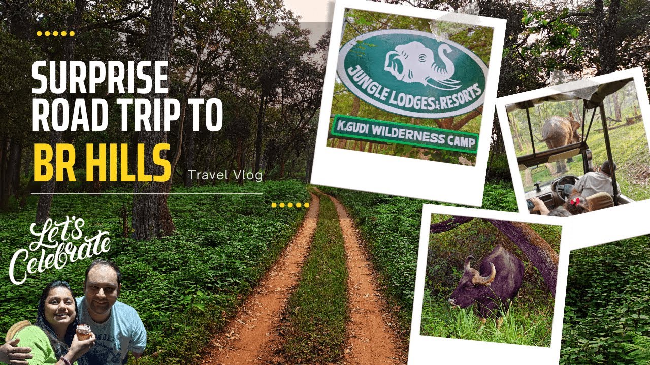 BR HILLS KGUDI Jungle Lodges & Resorts| Safari| Wildlife| Forest| BiligiriRanganatha Temple 2023