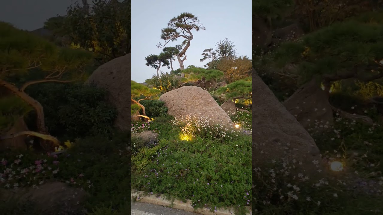 Beautiful Gardens Season - Part 02 #garden #park #beautiful #flowers #tree #beijing #china #colors