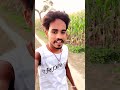 Pug li dekha vyaaggar batti#song #jiskeaanesemukammalhogayithizindagisong