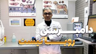 رمز و رازهای دامپزشک موفق ( گفت‌و‌گو با دکتر پیام محبی)