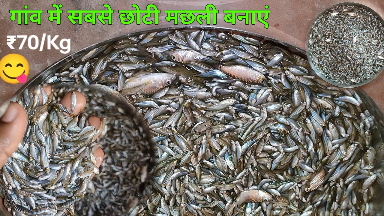 small fish kaise banaen | fish recipe kaise banaen | how to cook small ...