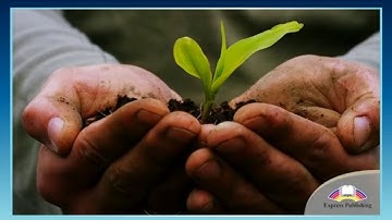 Excel 9. Module 5. The promised land.