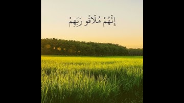 تلاوة خاشعة تريح القلب بصوت القارئ اسلام صبحي | وَيَا قَوْمِ لَا أَسْأَلُكُمْ عَلَيْهِ مَالًا ۖ