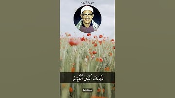الشیخ محمد صدیق المنشاوي سورة الروم