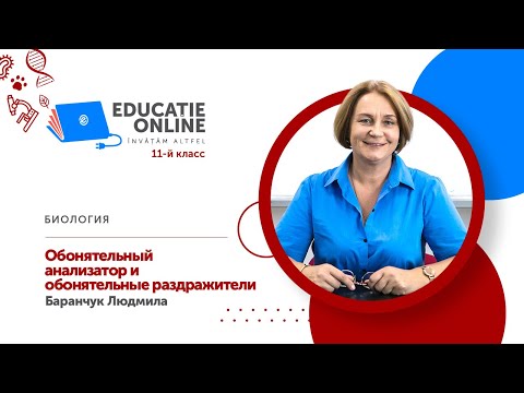 Биология, 11-й класс, Обонятельный анализатор и обонятельные раздражители