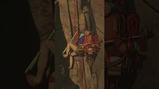 The Moment of Truth: Will She Fall? #shorts